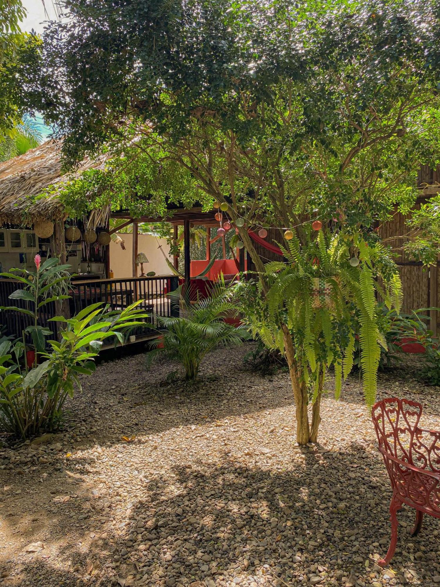 Hostal Zinpar Palomino Exterior photo